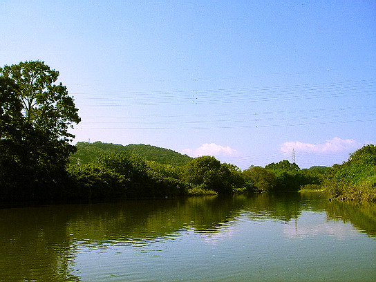 f0084561_12162036.jpg