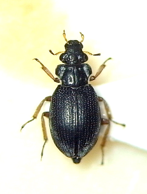 b0130166_2239436.jpg