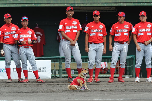 ベースボール犬　わさび　中野編_c0197772_350444.jpg