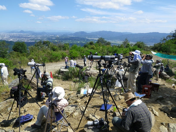 岩間山でホークウォチング_c0002874_19549100.jpg