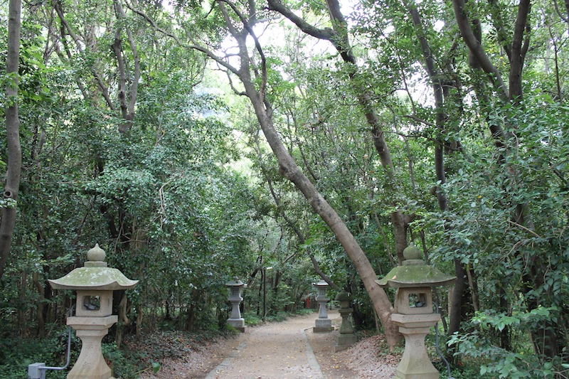 獅子岩から花乃窟神社へ(2011.8.24)_c0173978_1162418.jpg