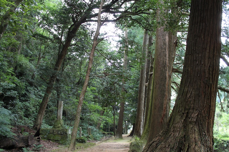 神内神社(2011.8.24)_c0173978_244225.jpg
