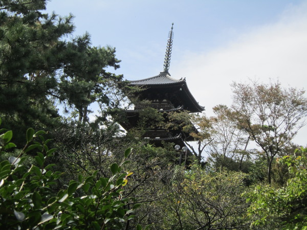 横浜　三渓園_a0180279_23372960.jpg