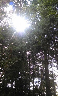 e0202182_18453380.jpg
