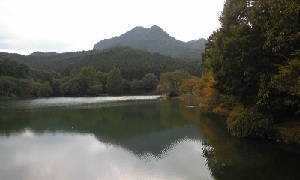 e0202182_1846565.jpg