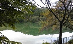 e0202182_20162938.jpg