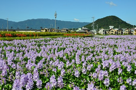 c0229483_1931454.jpg