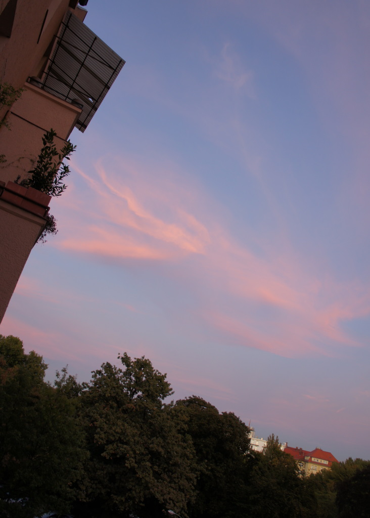 c0180686_5475875.jpg