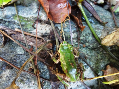 e0137390_1922164.jpg
