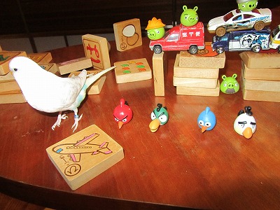 I Spy～Angry Birds Version～_b0209691_9154845.jpg