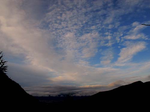 e0120896_6485071.jpg