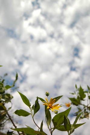 c0164598_17284698.jpg