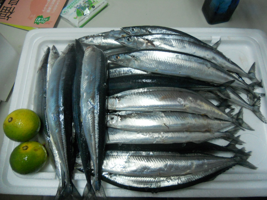 今日から10月。食欲の秋!_d0233799_1927231.jpg