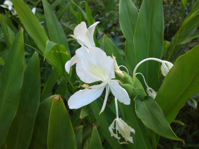 a0031000_22291521.jpg