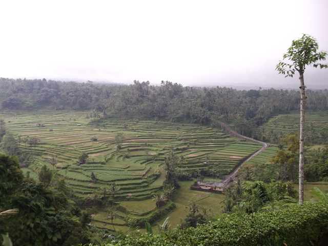 e0245601_2157072.jpg