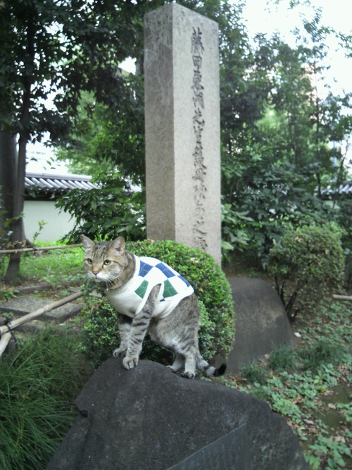 e0031605_22433998.jpg