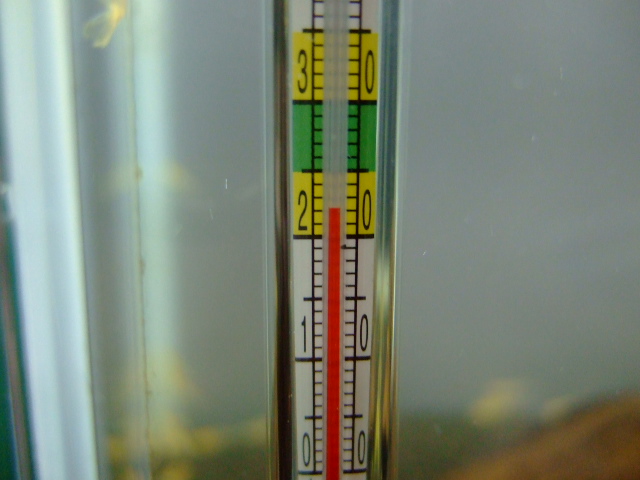 f0152308_1910098.jpg