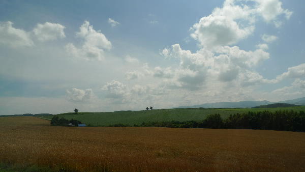 a0196709_8192065.jpg