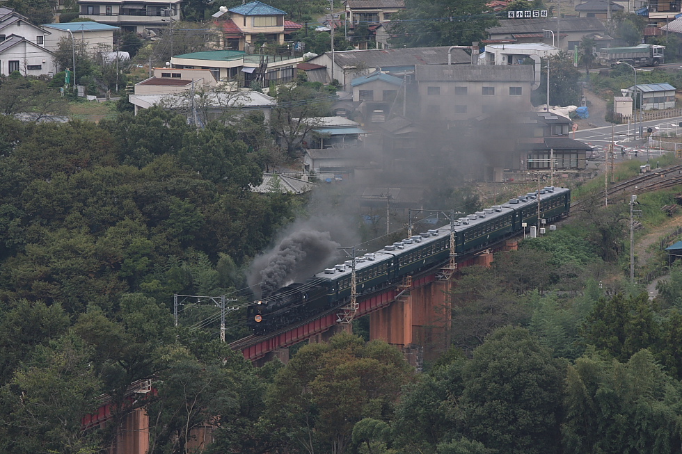 パレオの爆煙をアップで - 2011年初秋・秩父 -_b0190710_2015479.jpg