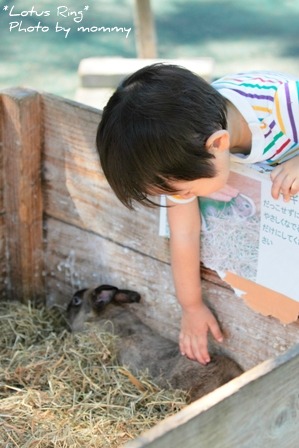 動物園_a0169912_15492610.jpg