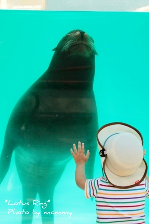 動物園_a0169912_15494955.jpg