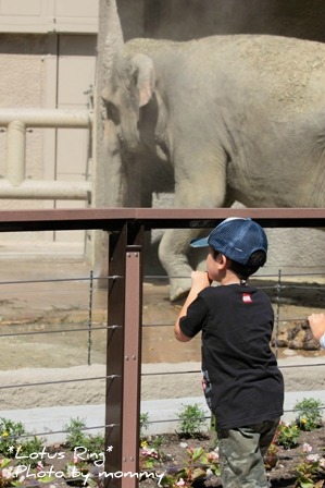 動物園_a0169912_1549894.jpg