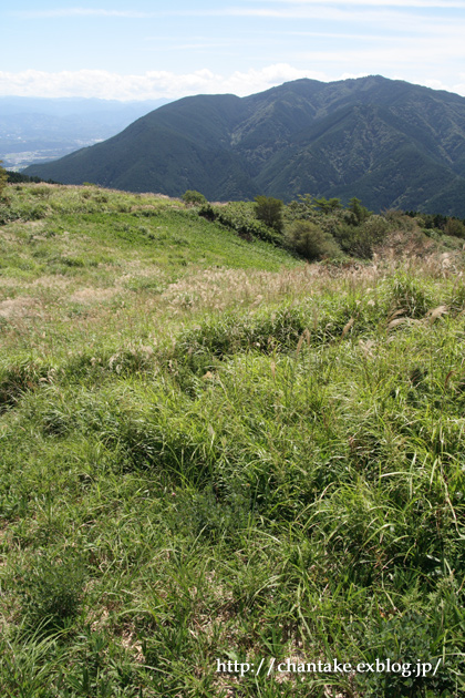 c0189013_530947.jpg
