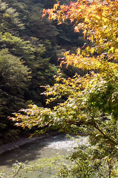 美山川上流_e0048413_20551141.jpg