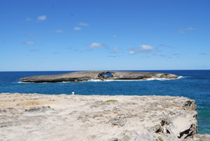 a0031714_1722428.jpg