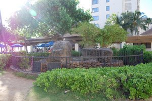 a0031714_17252664.jpg