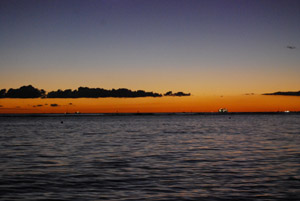 a0031714_1726755.jpg
