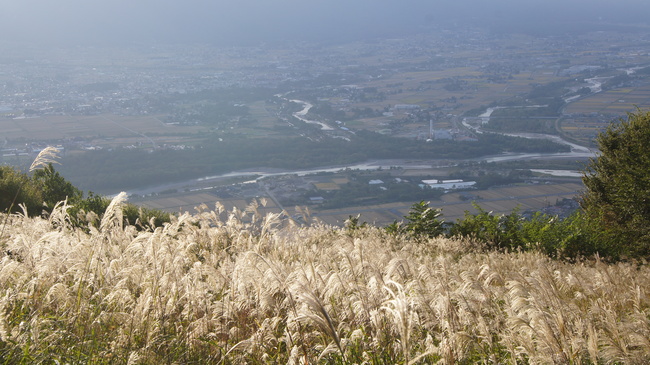 f0233414_2354569.jpg