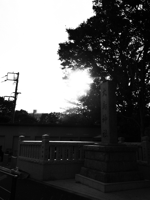d0231818_18522988.jpg
