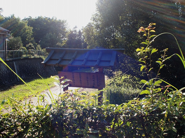 a0195223_2244519.jpg