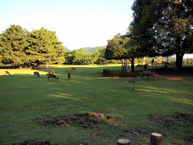 a0195223_22514641.jpg