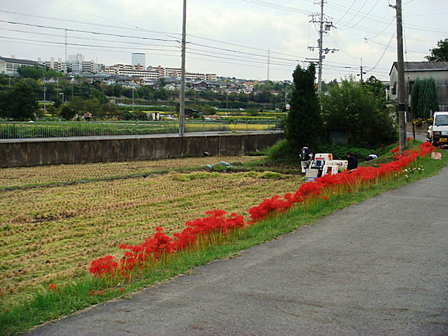 10月に入りました_b0068423_2129246.jpg