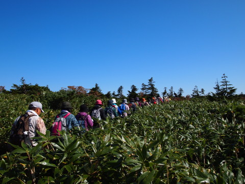 b0147224_11571221.jpg