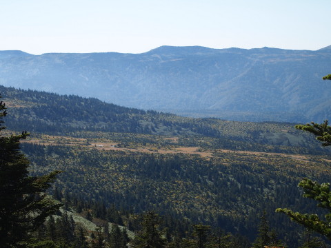 b0147224_1157454.jpg