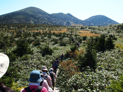 b0147224_11591390.jpg