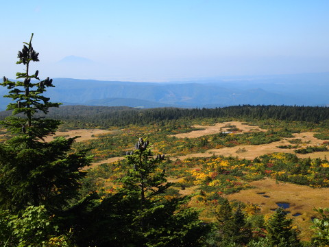 b0147224_1212711.jpg