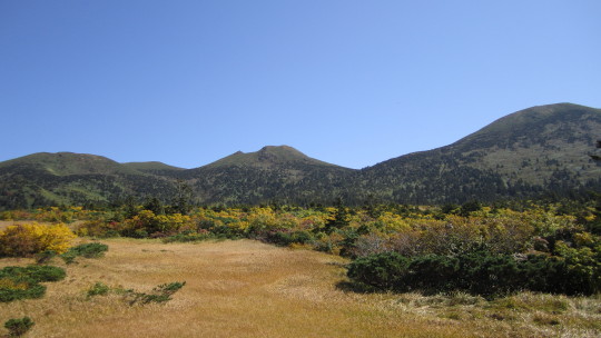 b0147224_12142078.jpg