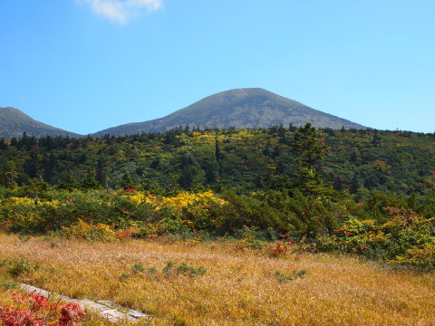 b0147224_1217582.jpg