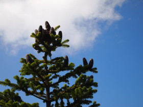 b0147224_12223869.jpg
