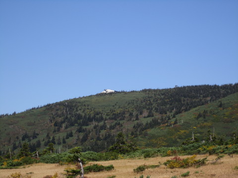 b0147224_12232044.jpg