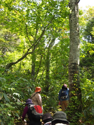 b0147224_12275218.jpg