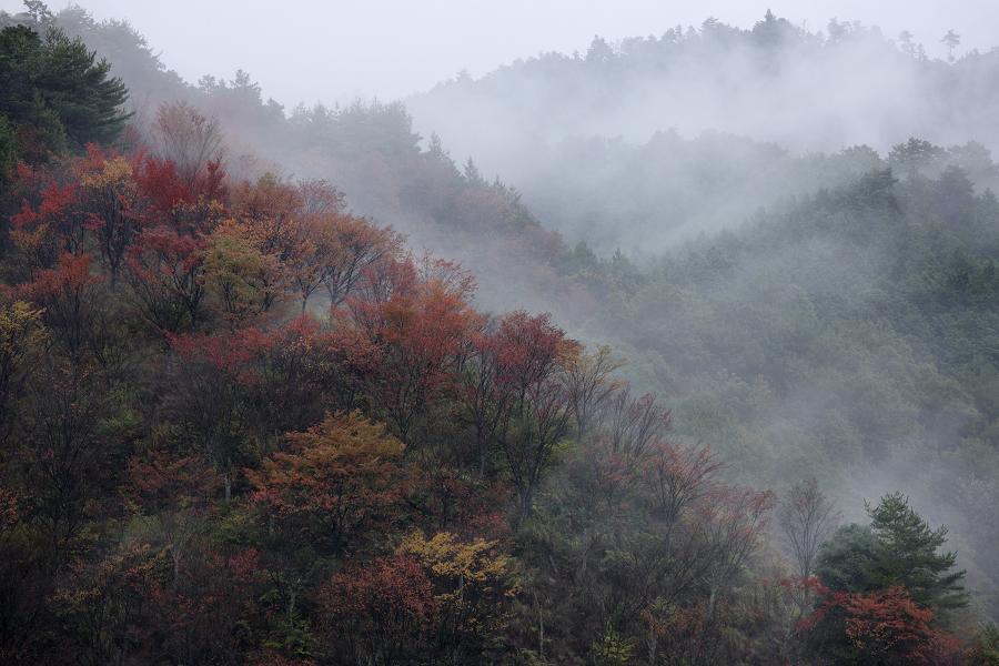 いざ、吉野山の紅葉へ！_e0154524_10432670.jpg