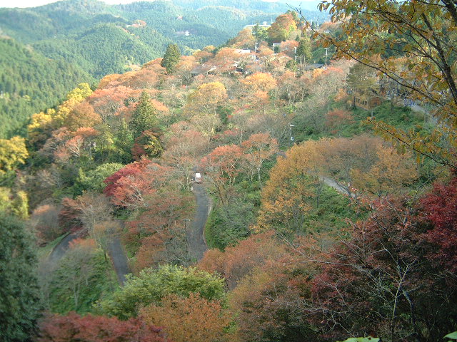 いざ、吉野山の紅葉へ!_e0154524_1085139.jpg