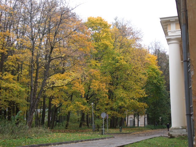 a0195226_2325305.jpg