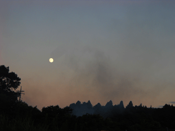c0146127_18321316.gif