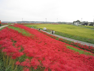 c0075429_1330017.jpg